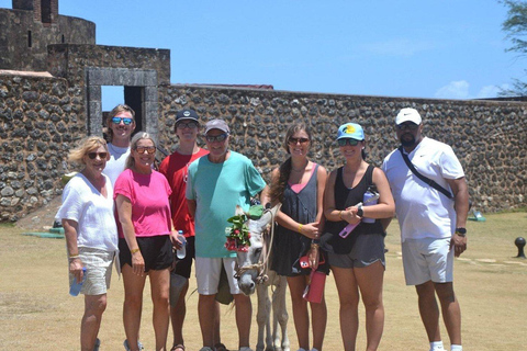 Puerto Plata: Zipline, Damajagua Falls, and City Tour