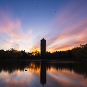 Beijing: Peking University Campus Guided Walking Tour