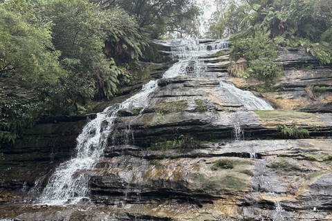 Blue Mountains: Mundo cênico, balsa, zoológico e foto de coala