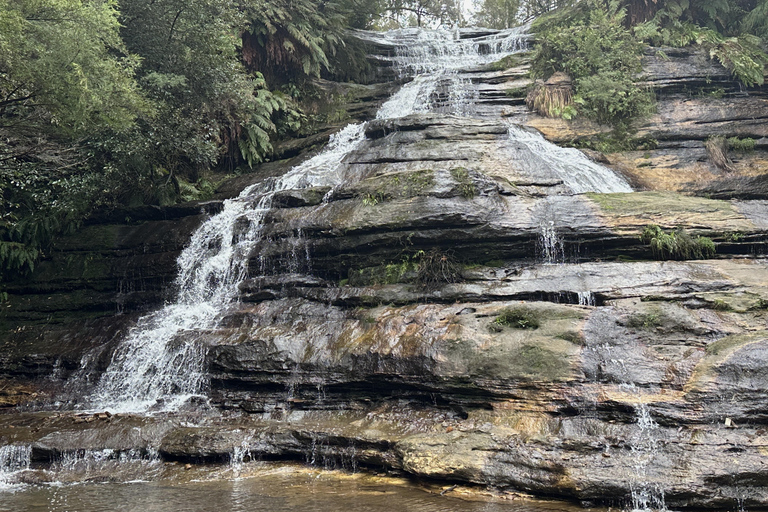 Blue Mountains: Mundo cênico, balsa, zoológico e foto de coala