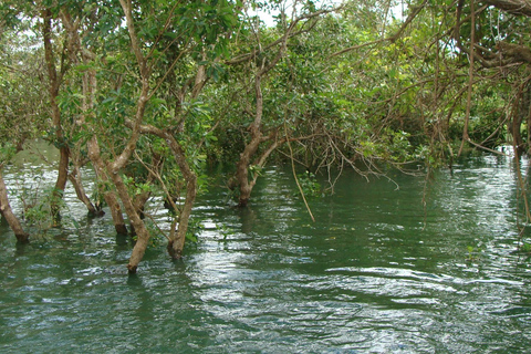 Siem Reap Floating Village Tour, Kompong Phluk Tour