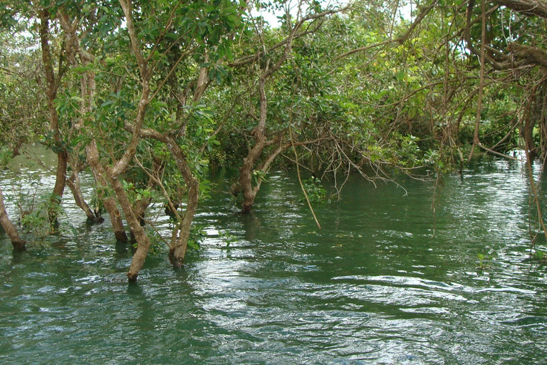 Siem Reap Floating Village Tour, Kompong Phluk Tour