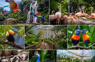 Eintrittskarte für das Bird Paradise mit Hoteltransfers