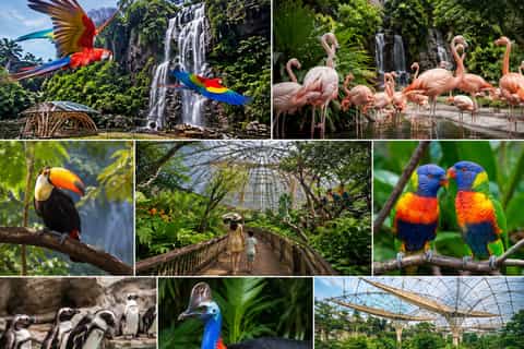 Bird Paradise Entry Ticket with Hotel Transfers - Image 3