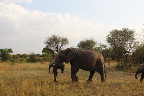 3-Day Joining Group Safari to Serengeti and Ngorongoro