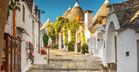Bari: Polignano a Mare, Monopoli, Alberobello, Best Day Trip
