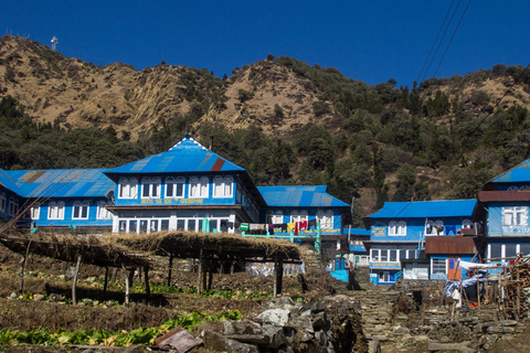 Ghorepani poon hill trek