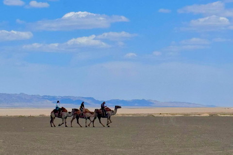 4 dagen Gobi in korte tijd