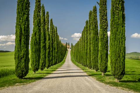 Florence: Tuscan Day trip Siena San Gimignano, Pisa,