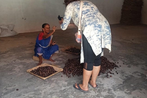 فورت كوتشي: جولات توك توك كوتشي - بأسعار مناسبة