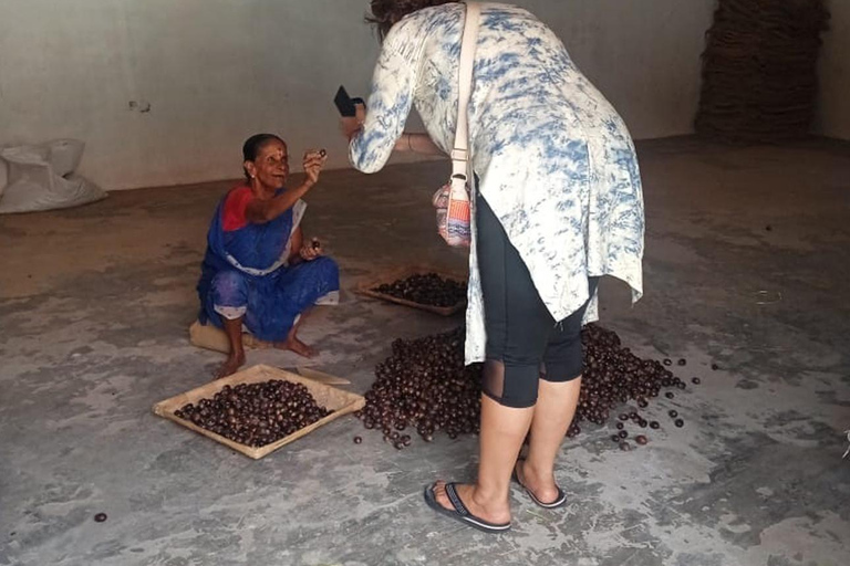 فورت كوتشي: جولات توك توك كوتشي - بأسعار مناسبة