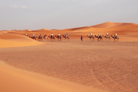 Marrakesh naar Fez: 3-daagse tour door woestijn