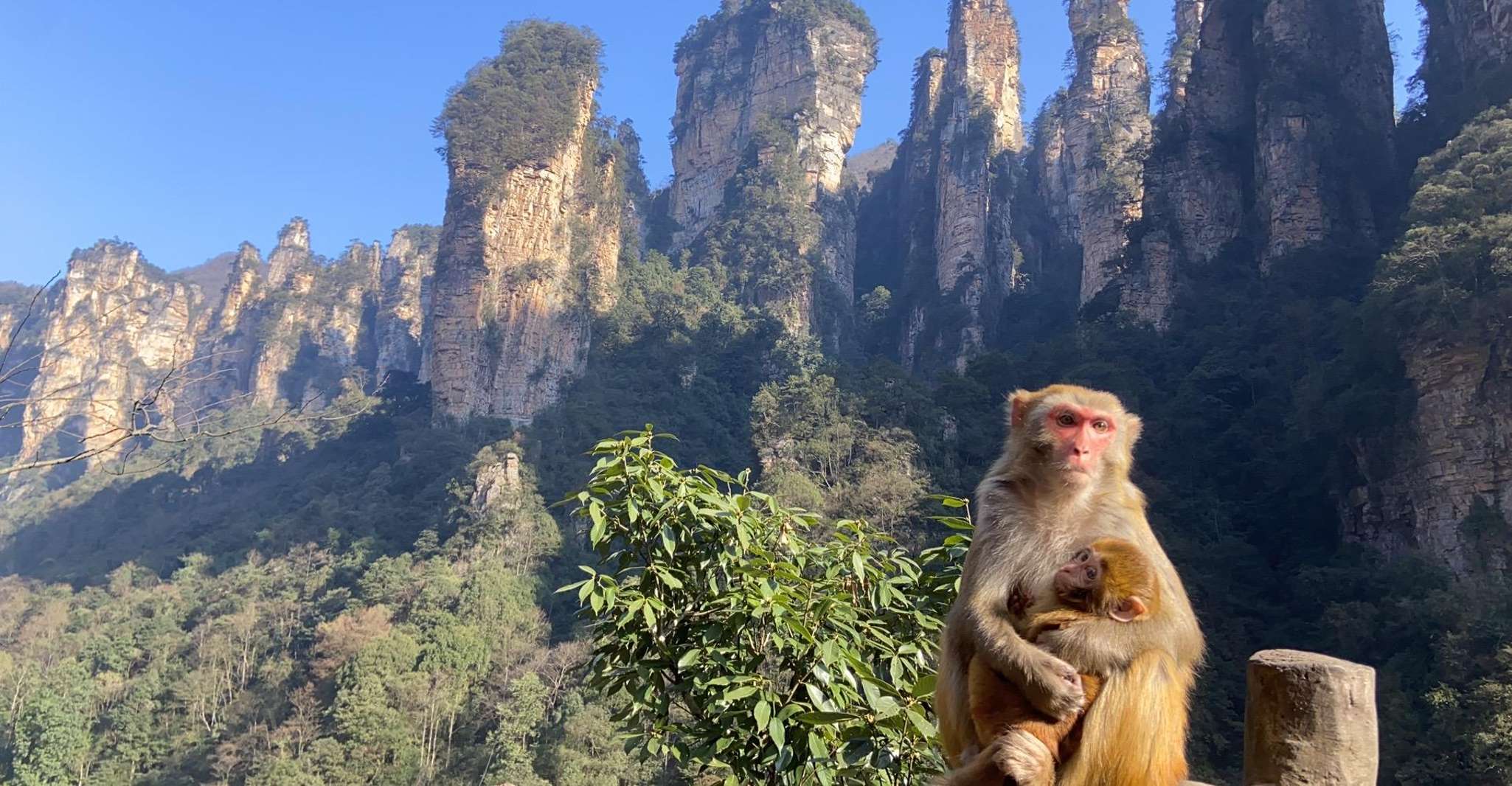 4-Day Highlights of Zhangjiajie With Sunrise Experience - Housity