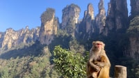 Punti salienti di 4 giorni di Zhangjiajie con Sunrise Experience - Housity