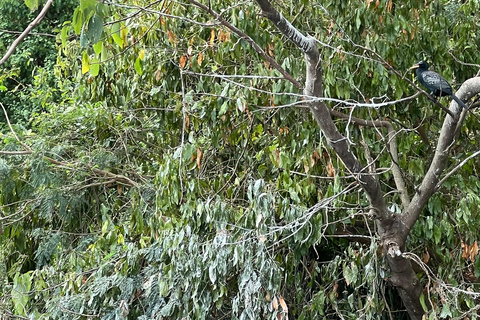 TOUR DE 1 DIA PELA MELHOR JINJA E NASCENTE DO RIO NILO