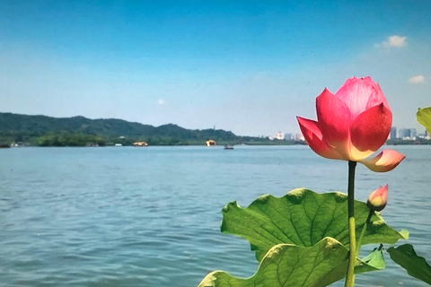 جولة خاصة شاملة كلياً في أبرز معالم مدينة شنغهايAll Inclusive Tour