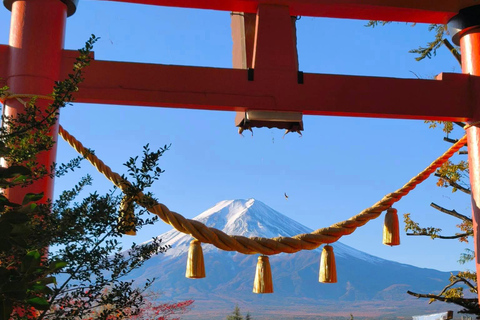 From Tokyo: 5 Best Mount Fuji Photo Spots Private Day Trip