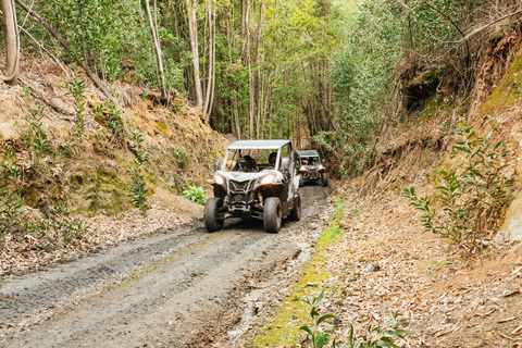 Från Porto: Off-Road Buggy AdventureBuggy 2-sitsig rundtur med upphämtning och avlämning