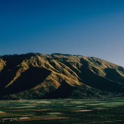 Lombok : Strawberry Garden & Bukit Selong Trekking