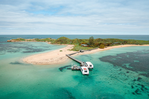 Rockingham: Shoalwater Islands, Dolphins, and Sea Lions Tour 11:15 am Departure