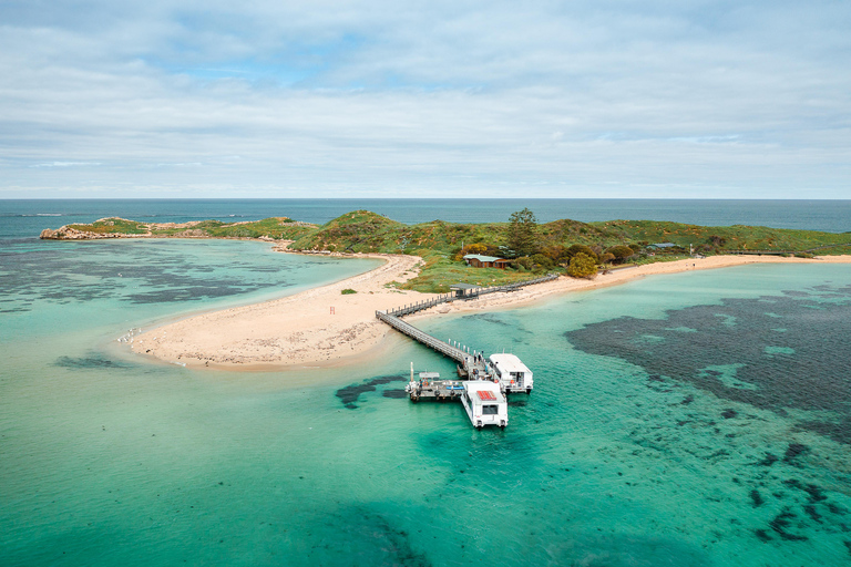Rockingham: Shoalwater Islands, Dolphins, and Sea Lions Tour 11:15 am Departure