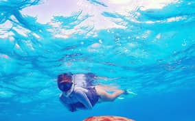  - Canarie.it