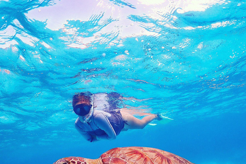 Bonaire: Snorkeling alla deriva nel parco marino con 2 soste