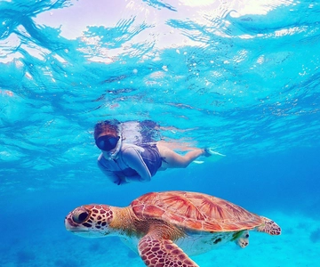 Bonaire: Marine Park Drift Snorkeling with 2 Stops