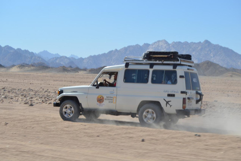 Hurghada: Quadriciclo, buggy, safári de jipe, passeio de camelo e jantarServiço de busca no hotel em Hurghada