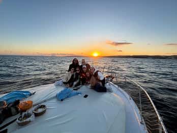 Estepona: Delfinsøkende havcruise med drikke og snacks