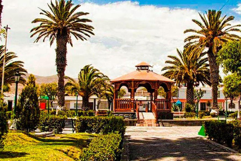 Explore the Loncco Route: Full Day Excursion from Arequipa