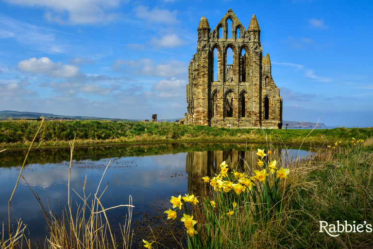 From York: Yorkshire Dales Small-Group Day Tour