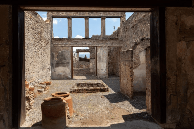 Pompeii: Skip-the-Line Entry Ticket with Audio Guide or TourEntry Ticket with Audio Guide