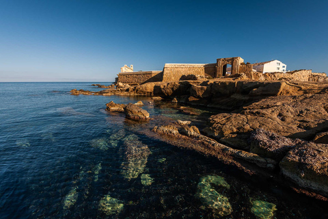 From Alicante: Tabarca Island, Santa Pola & Surprise Stop
