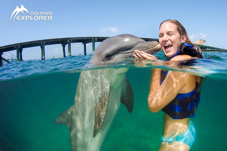 Aventura de nado com golfinhos em Punta Cana: Experiência com golfinhos de 40 minutos