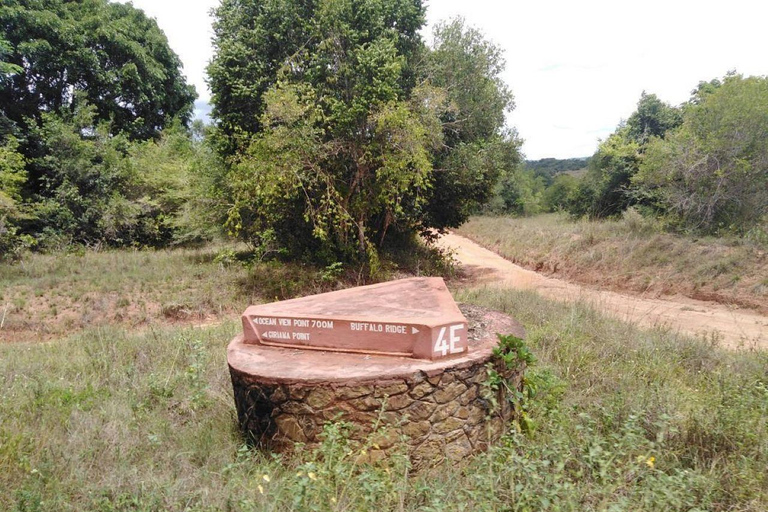 Kwale: Private day tour to Shimba Hills with Picnic lunch