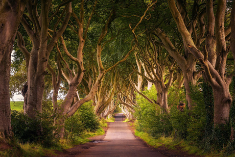 Belfast: Antrim Coast, Castles & Giant’s Causeway Tour