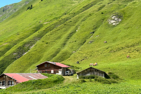 Lucerne: Mount Pilatus Bahn Scenic Railway Round Trip Tour