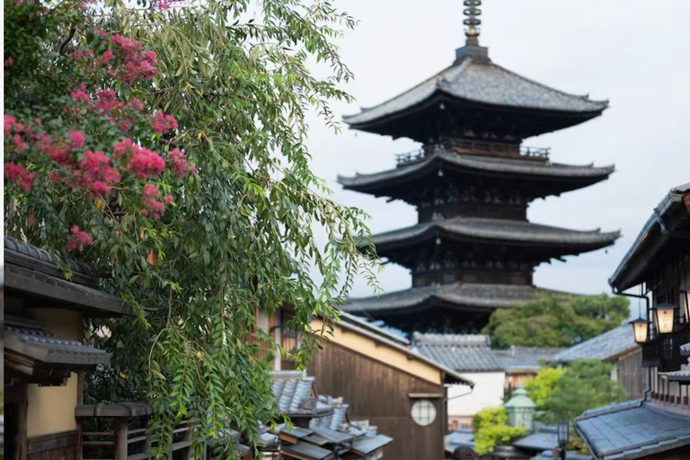 Kyoto Instagram tour with a private photographer.