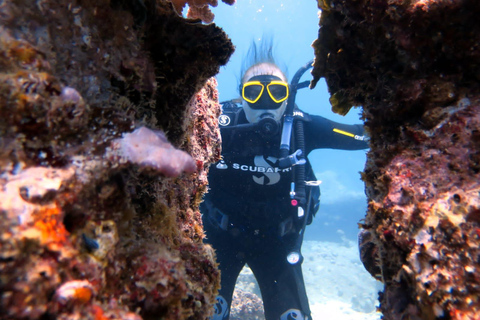 Blue Bay: Discover Scuba Diving