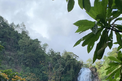 Materuni Waterfalls and Coffee Day Tour