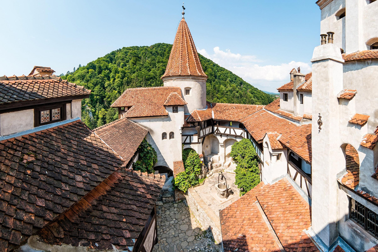 Depuis Bucarest : Excursion à Peles, au château de Dracula, à Brasov