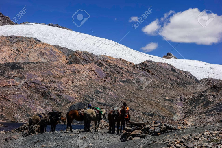 Huaraz: Nevado Pastoruri + Puyas Raymondi bos