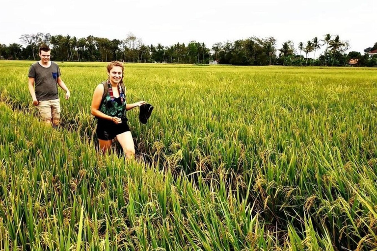 Yogyakarta: Wiejska wycieczka rowerowa z klasycznym rowerem