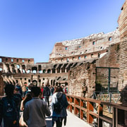 Rome: Colosseum Arena Floor, Palatine & Forum Guided Tour