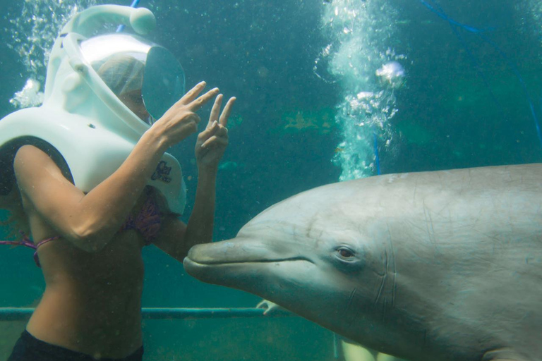 From Playa del Carmen: Xel-Há All-Inclusive Park Xel-Há Park All-Inclusive Ticket with Transportation