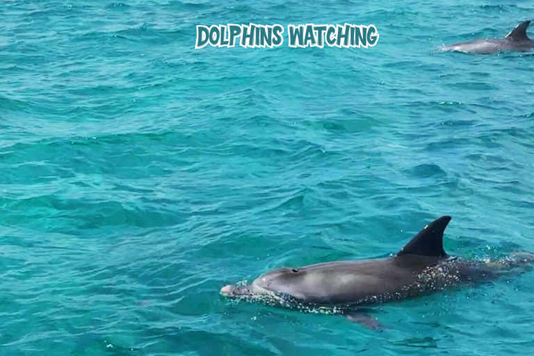 Mauritius: prywatna wycieczka motorówką po 5 wyspach z grillemMauritius: prywatna wycieczka motorówką na 5 wysp z grillem