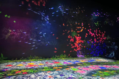 Macao: teamLab SuperNature Entry Ticket & digital Guide