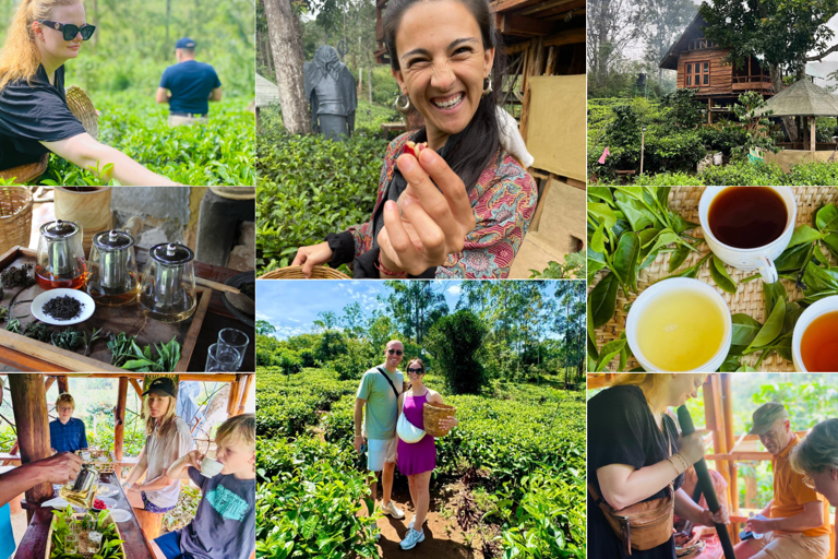 ELLA : Tea-Making Experience Tour with Tasting and Snacks