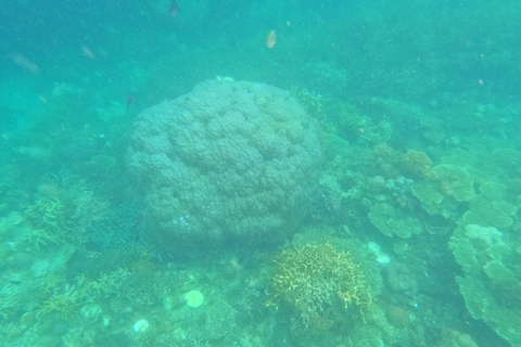 BARRIERA CORALLINA E RELITTO - SNORKELING DELLA GUERRA MONDIALE GIAPPONESE E GIARDINO DI CORALLO